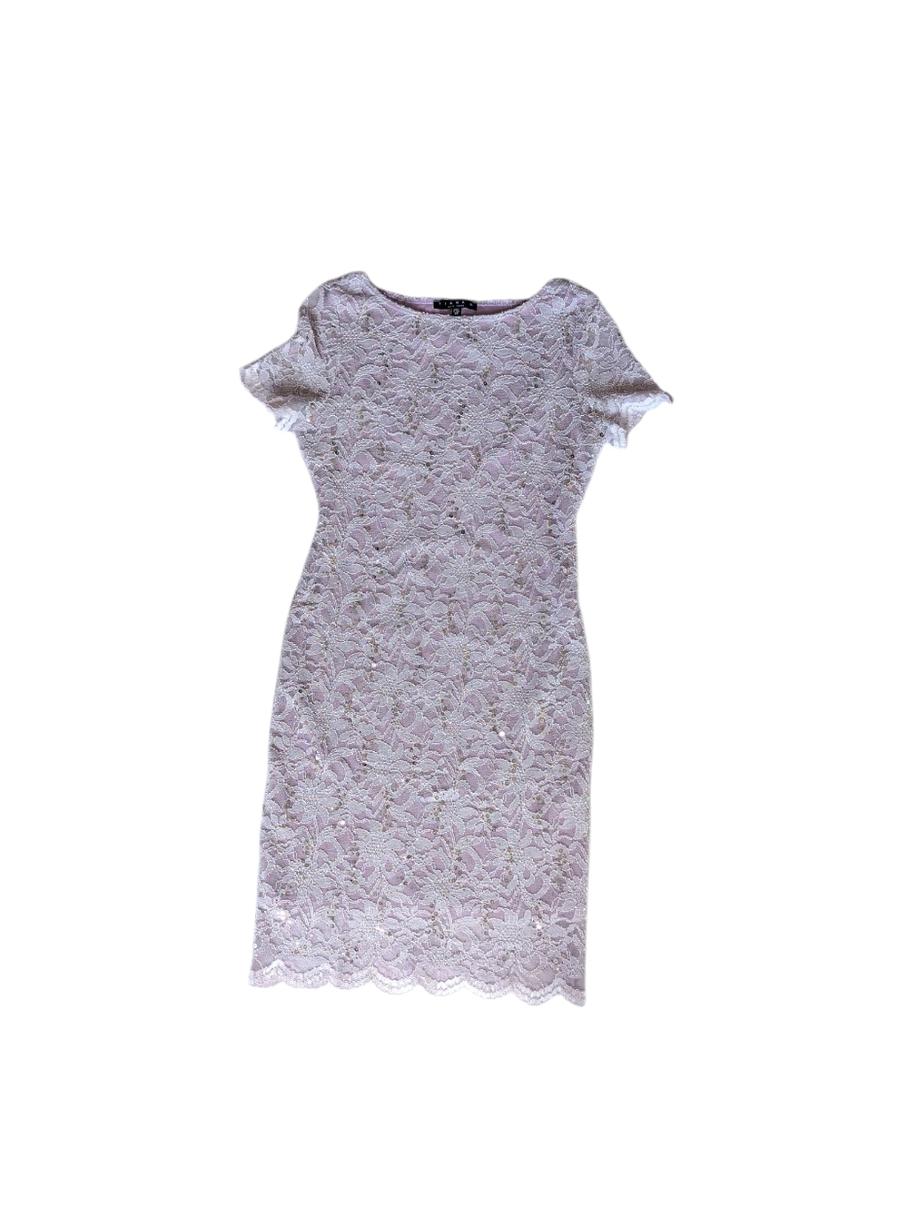 Tiana B. NY Lace Overlay Floral Sequin Lined Dress 4P Lavender/Lilac USA